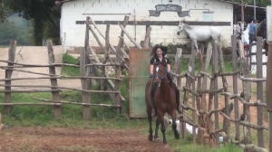 CL8565 BarebackridingonCardenalbyAmaK.wmv