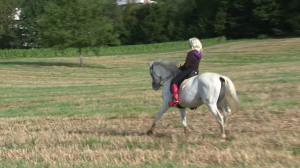 R24.wmv