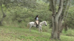 CL8565 BFBEPrincessDalilahymoro(1).wmv
