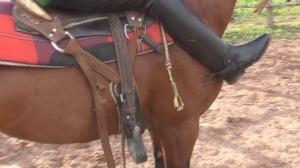 CL8565 TwoGorgeousRidingBeauties.wmv