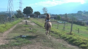 CL8565 chapaSylvia.wmv