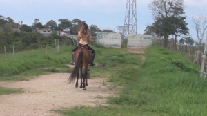 CL8565 Yf Ye GoddessSylviaandherrebellioushorse.wmv