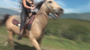 CL8565 Yf Ye MarySensualRide.wmv