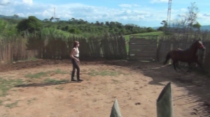 CL8565 ChroniclesoftheHardRidingFarm4byJoanna no riding.wmv