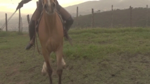CL8565 TheNylonRidingClub7AmaK.wmv