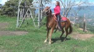 CL8565 RedRidingAngel.wmv