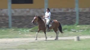 CL8565 Barbararidesonsmallone2.wmv