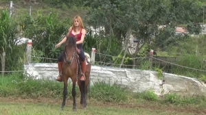CL8565 jf je danielaworkingwhittthemedievals.wmv.wmv