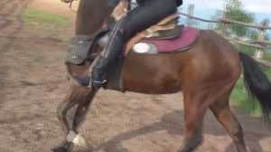 CL8565 TFLeatherRidingDreamsbyJoanna.wmv