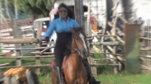 CL8565 KarlaTheHorseTamer.wmv