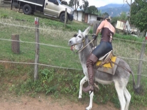 Joanbrownboottheburro.wmv