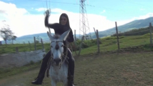 CL8565 Yf Ye FirstDonkeyRidebyMary.wmv