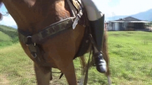 CL8565 jf je adrianarelaxrideonthefarm.wmv