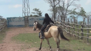 CL8565 CountessZorina.wmv