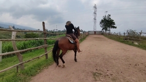 CL8565 tf joannacastaway23.mp4