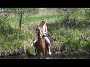 CL0106 Sunflower.wmv
