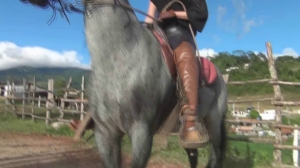 CL8565 BESTJOANNA.wmv