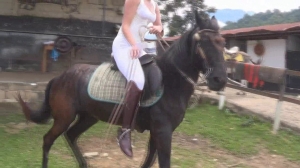 CL8565 tf te joannabatlewhittheblackstallion.wmv
