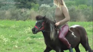 CL0106 Brevity of Horse 2.mp4