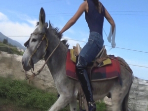 CL8565 tf te adriannaroundpenonmydonkey.wmv