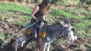 CL8565 ArreBurro2L.wmv