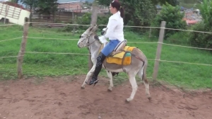 CL8565 TF MiBurritaJ.wmv