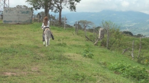 CL8565 Yf Ye Rebecaonthedonkeyforthefirsttime.wmv