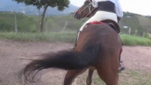 CL8565 JF AdriannaVsCastaway.mp4
