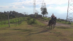 CL8565 tf tejoannaandtheblackstallion.wmv