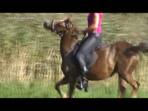 CL0106 Blackfoot.avi