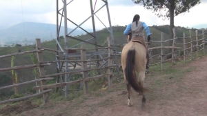 CL8565 ClassicDressageRiderK.wmv