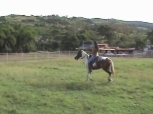 Diosa04.wmv