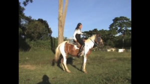 CL8565 TheBestOfGoddessKrystall.wmv