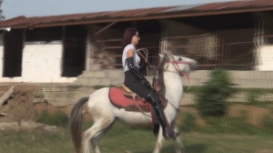 CL8565 RebelMickeyMouseJ.wmv