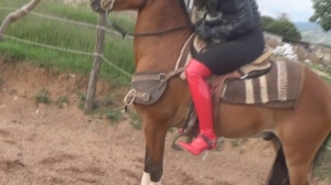 CL8565 TF RedBootsPeribecoFightJ.wmv