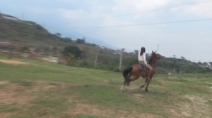 CL8565 tf te venusgallopingonsunnyday.wmv