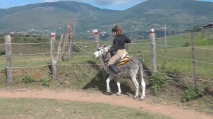CL8565 tf te belkisontheburro.wmv