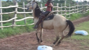CL8565 OTKBootsDreamK.wmv
