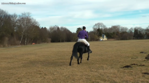 CL0106 Winter Blues 1.mp4