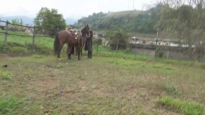 CL8565 TwoGorgeousRidingGoddessesinFursVJ.wmv